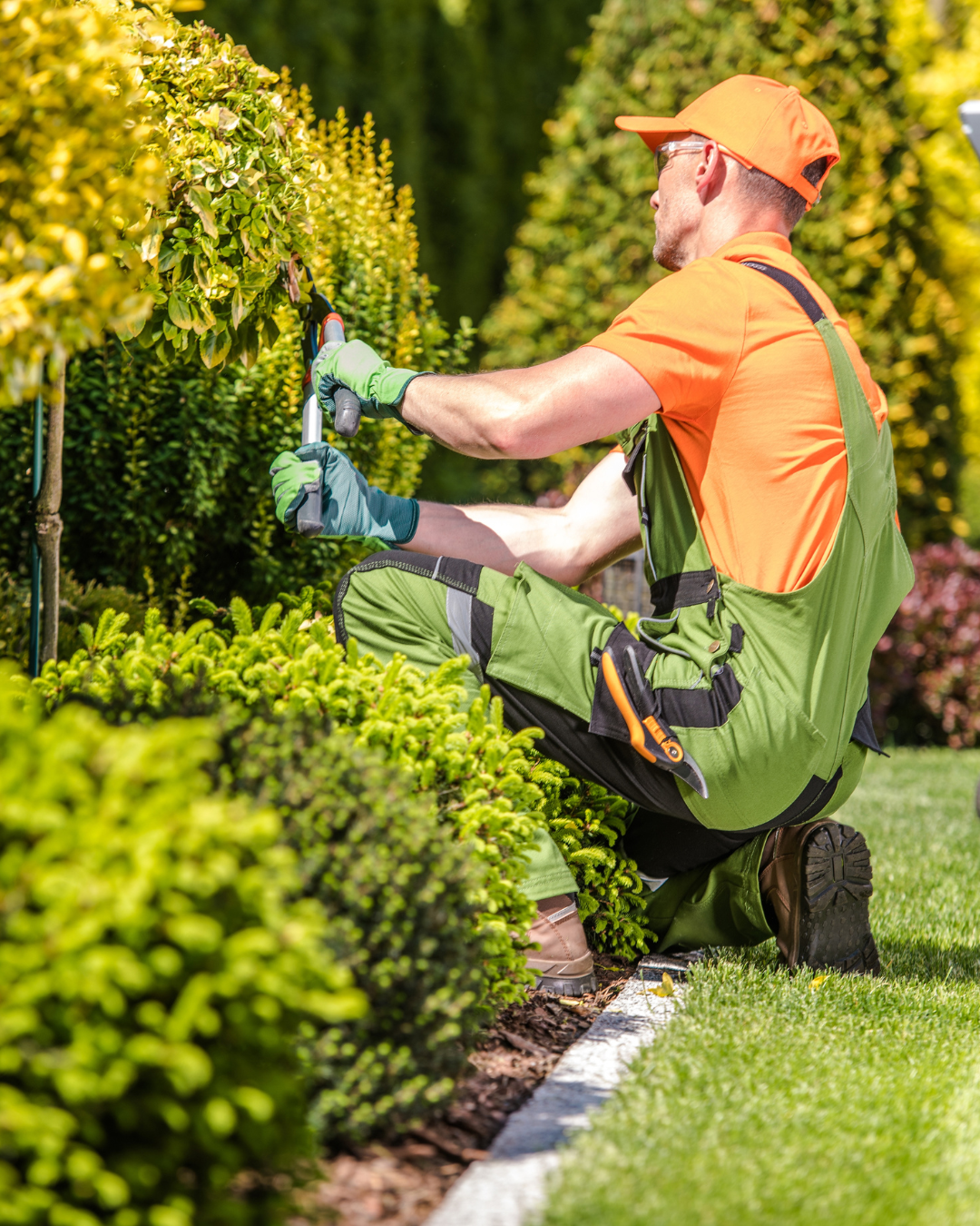 Professional gardening services by All Seasons