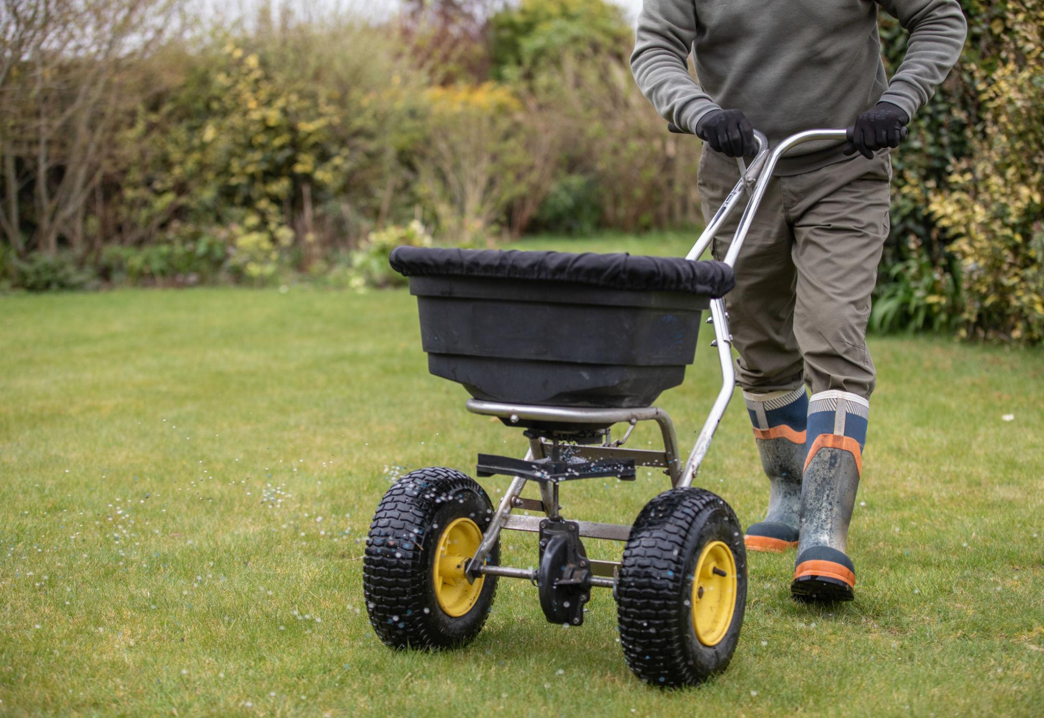 Professional lawn care service - healthy green grass