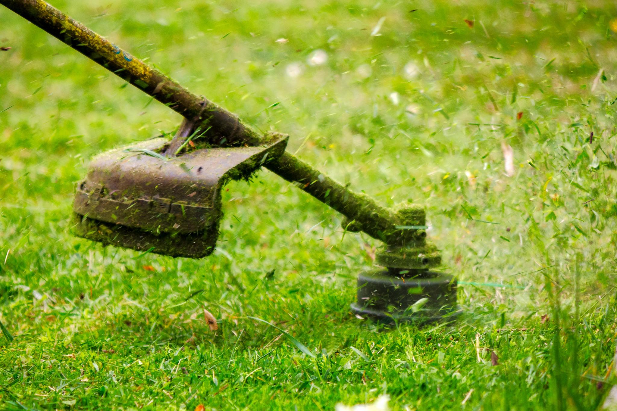 Beautifully maintained lawn after professional grass cutting