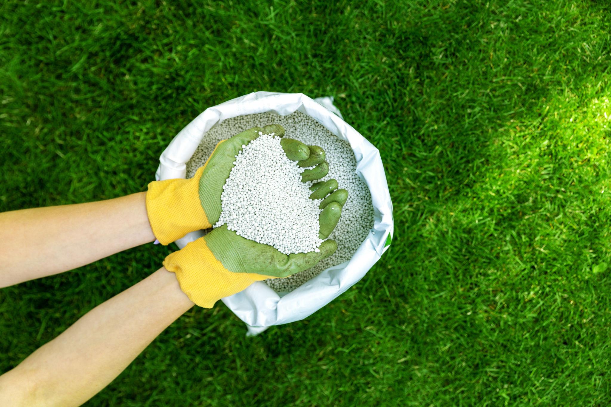 Beautiful lawn after professional lawn care
