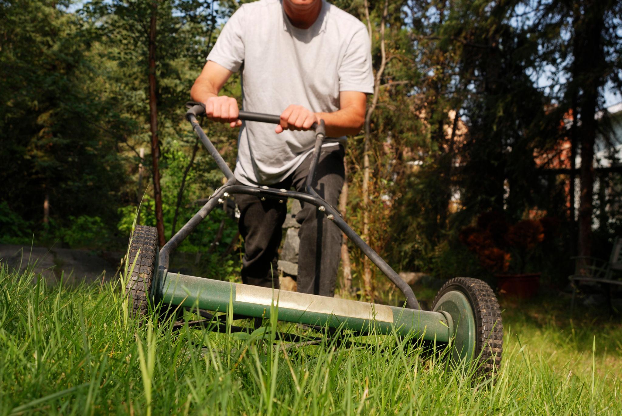 Professional lawn mowing and grass care service