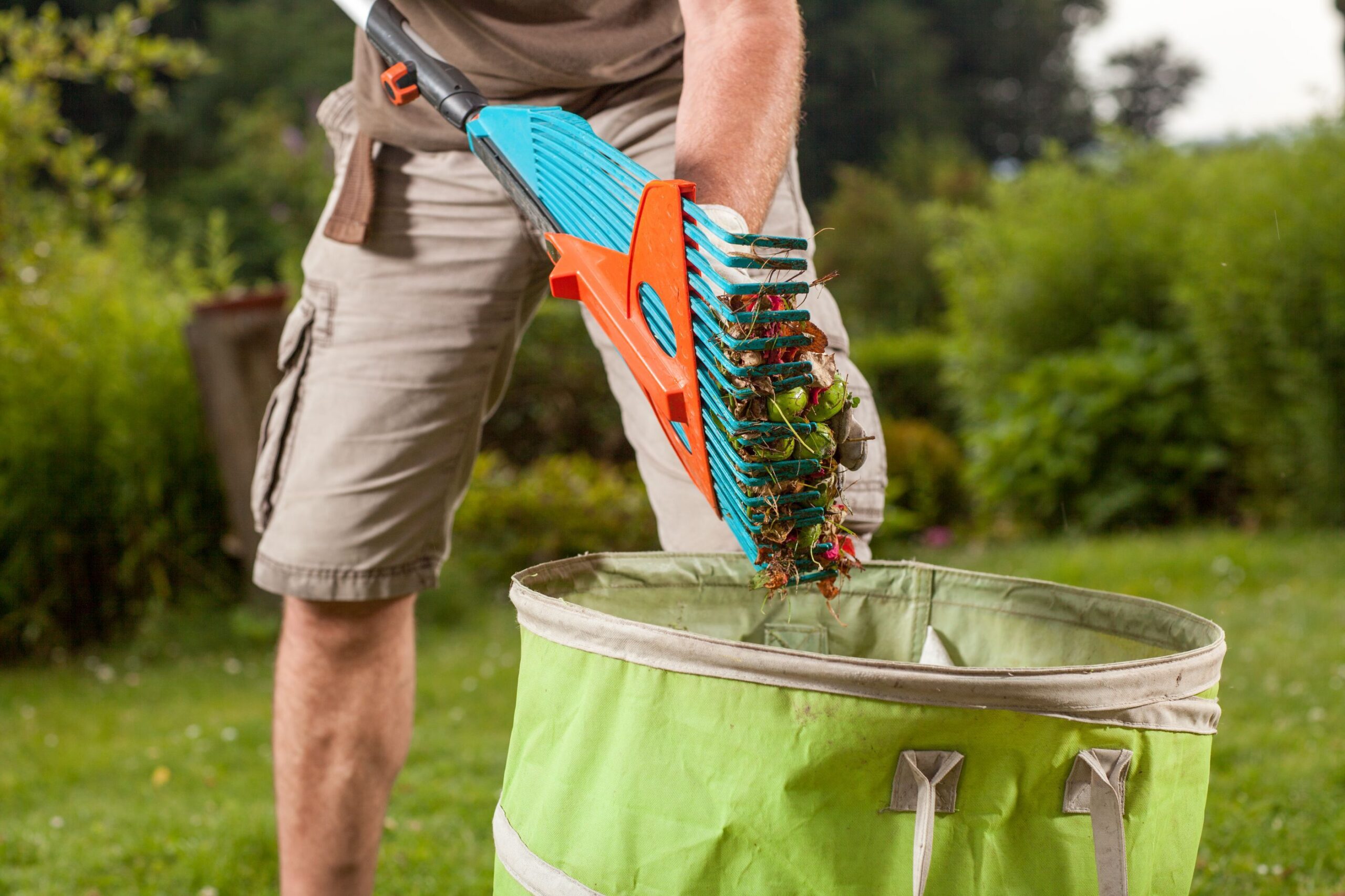 Garden tidy up