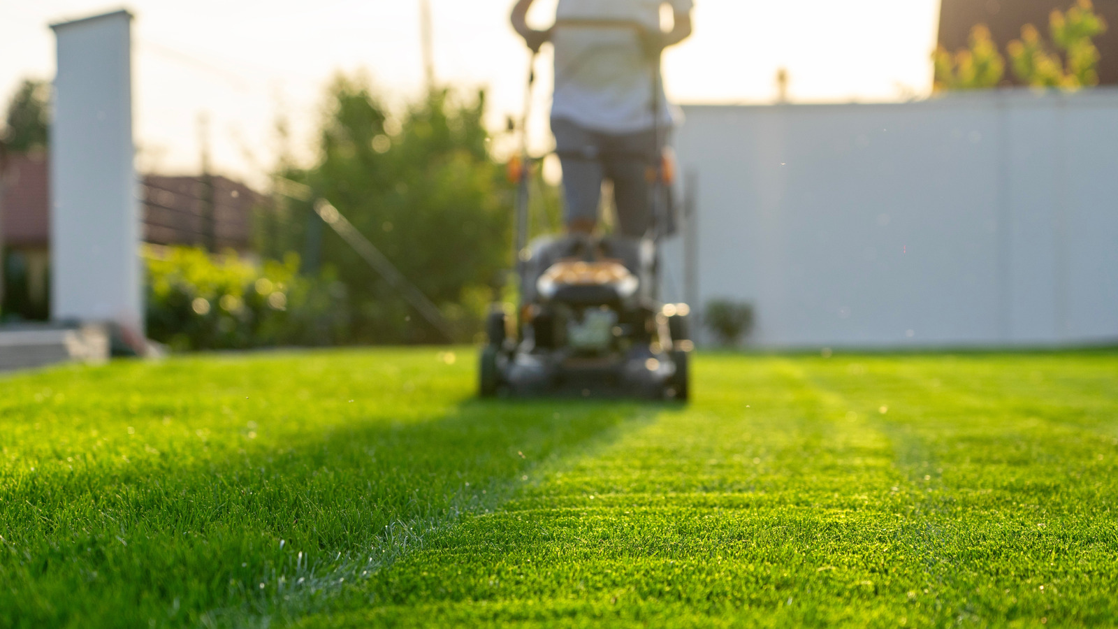 Grass cutting service